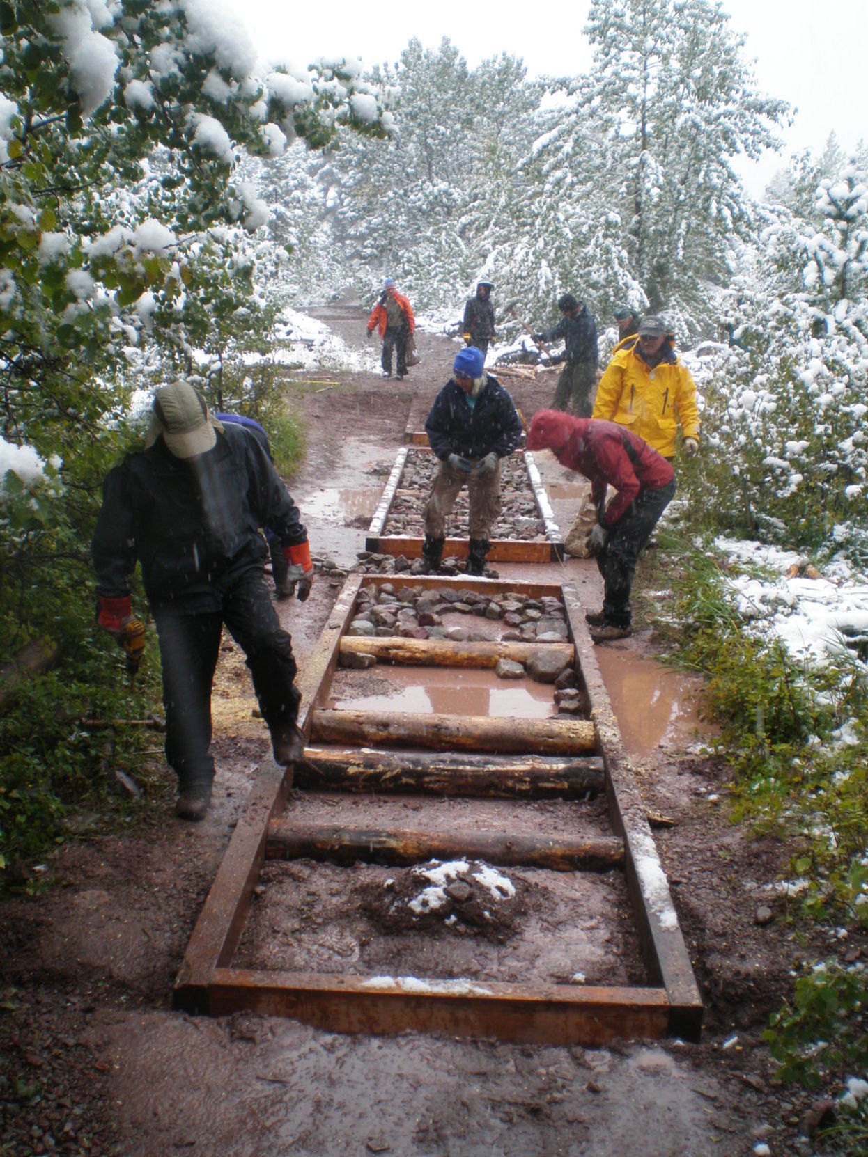 elevating bog crossing